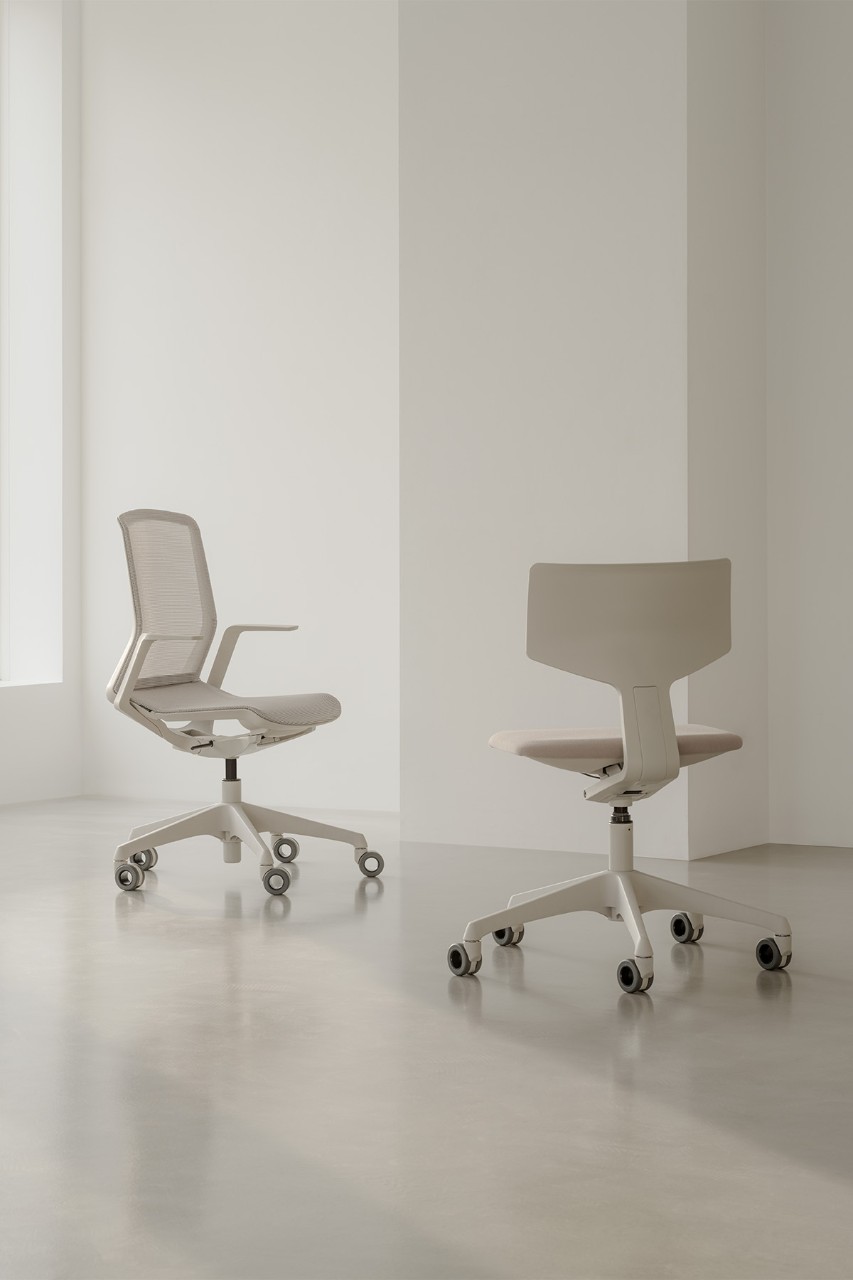 CYNARA | Specere