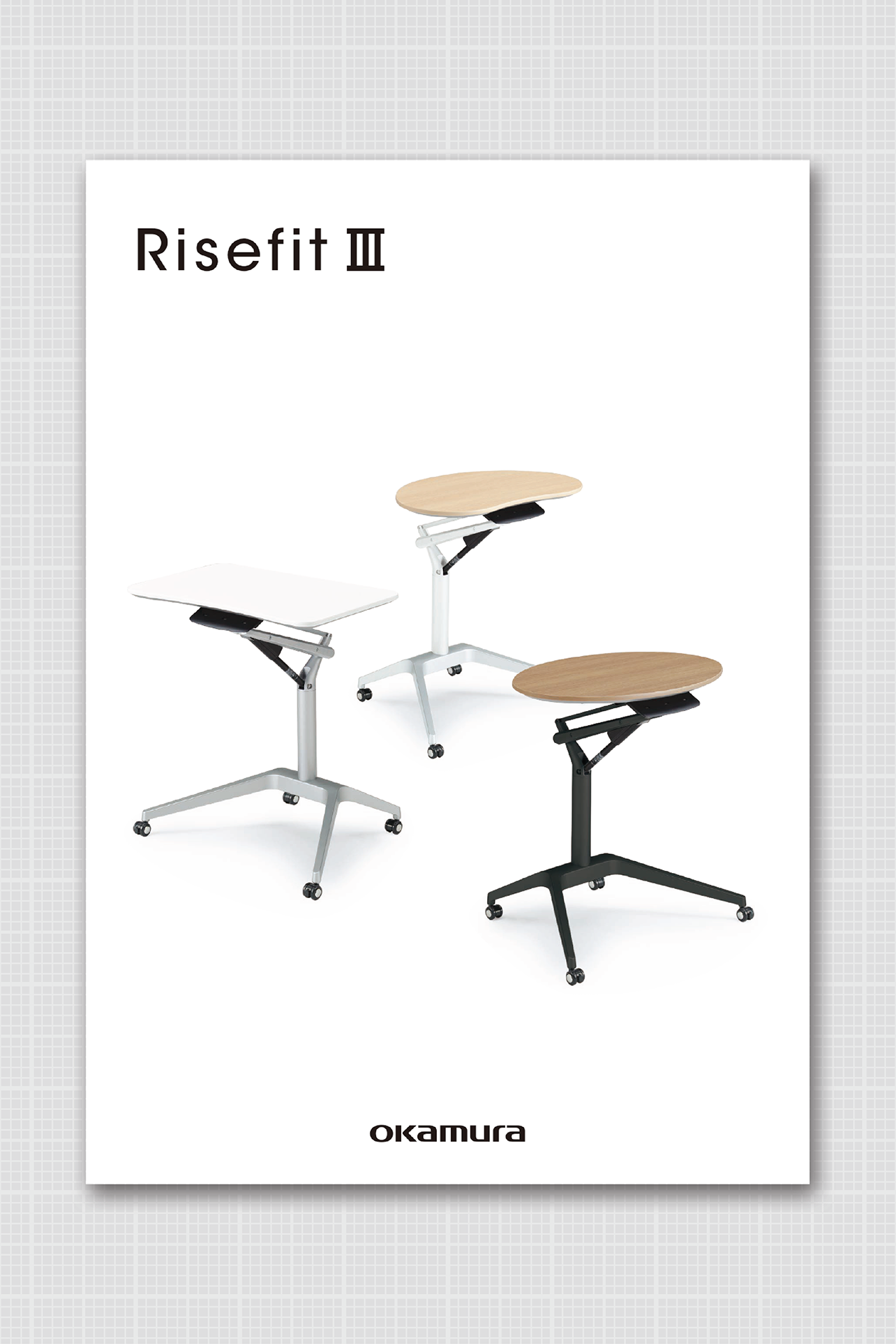 Risefit III Brochure