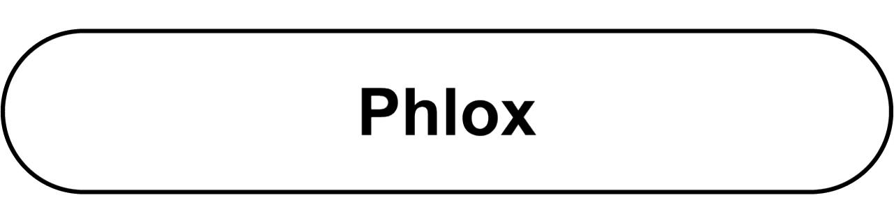 Phlox