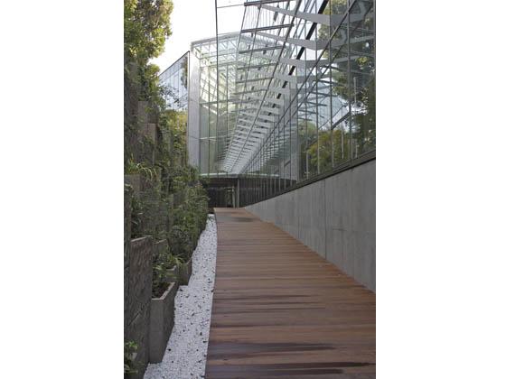 Ambassade de France au Japon/【Approach】The walls of the outside corridor to the entrance are covered with vegetation.