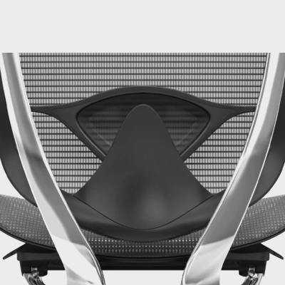 Hỗ trợ cột sống