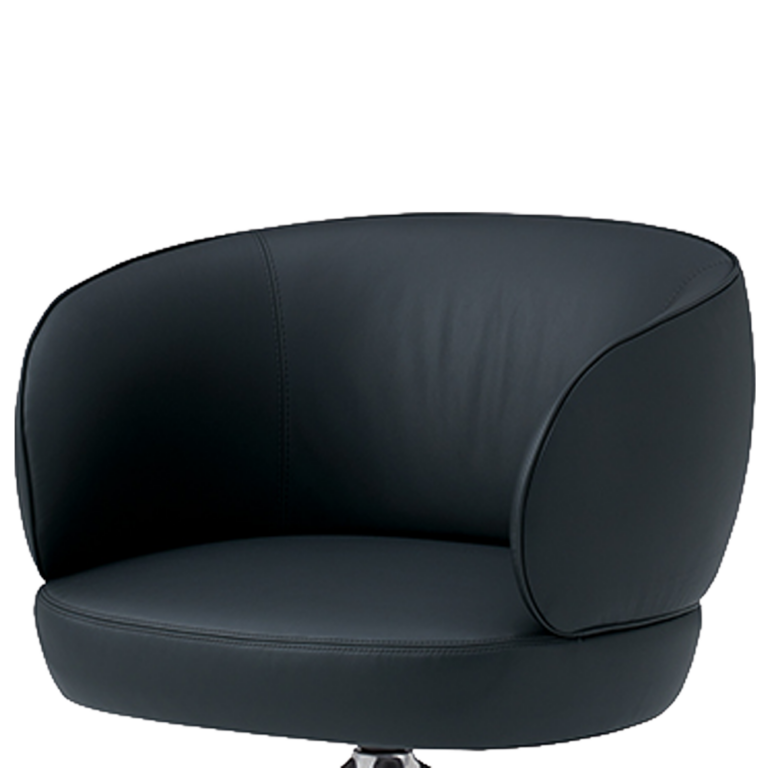 Leather Upholstery