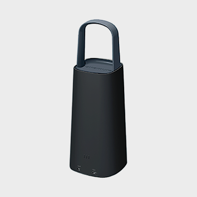 Portable Battery with Handle