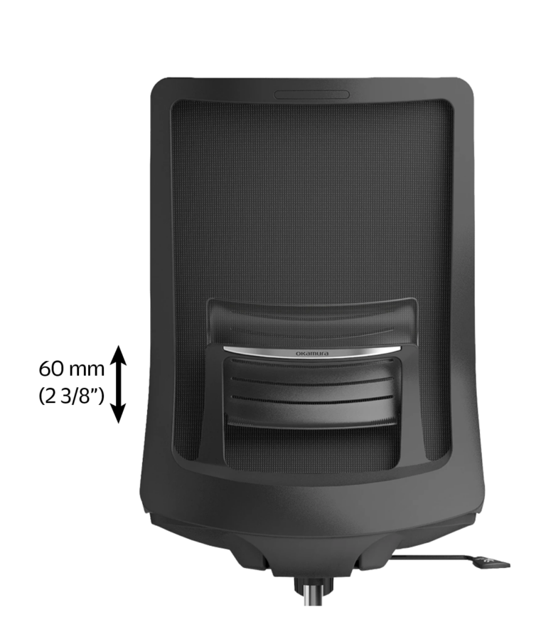 Adjustable Lumbar Support